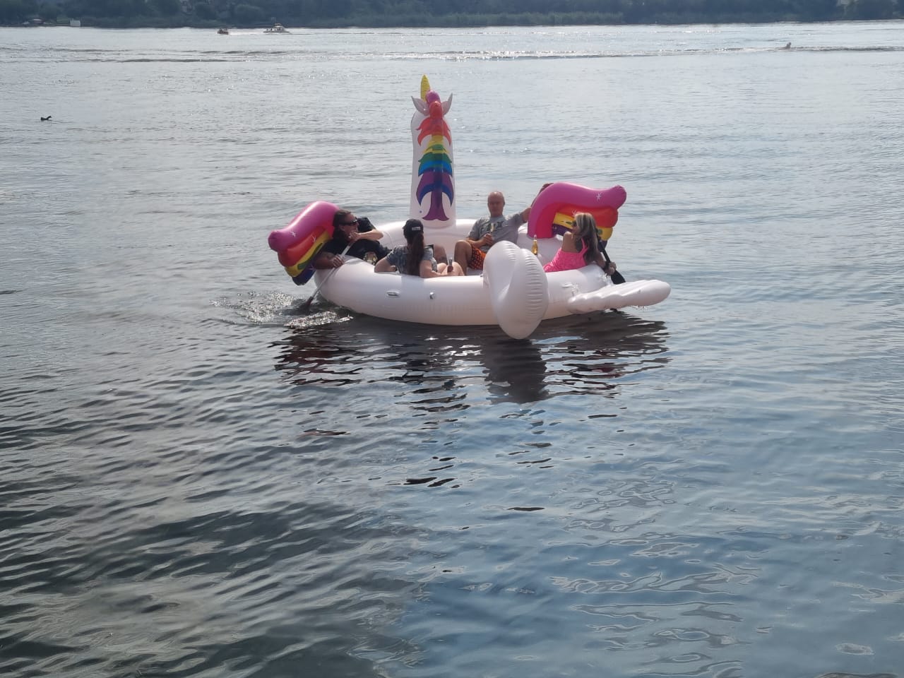 Unicorn Rides